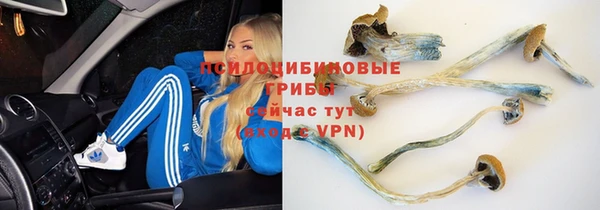 спайс Алзамай