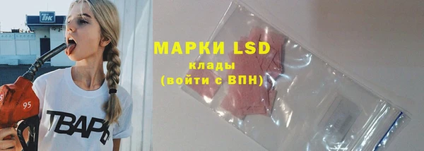 спайс Алзамай